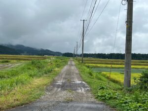 映画『ルックバック』で藤野がスキップするシーンのロケ地となったあぜ道