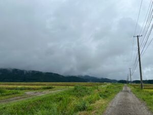 『ルックバック』ロケ地のあぜ道と周囲に広がる田園風景